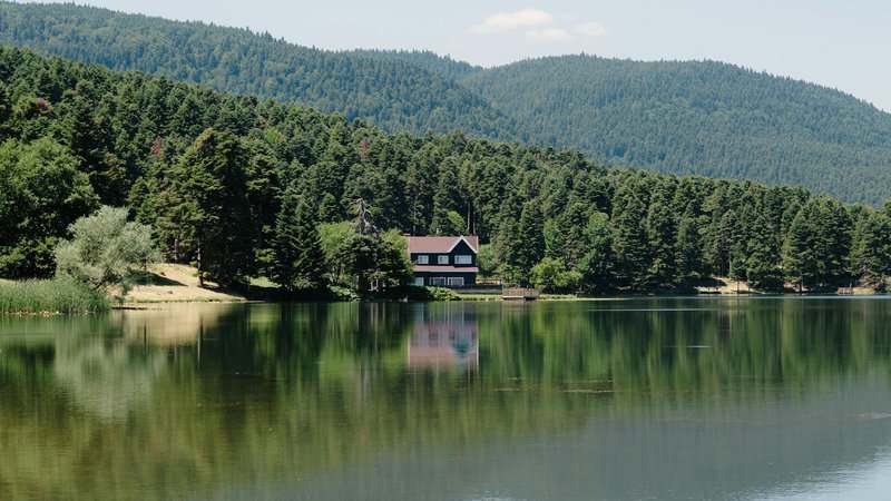 5. Learning to Live Off the Grid