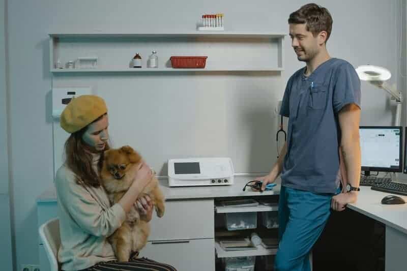 18. Consulting with Your Veterinarian