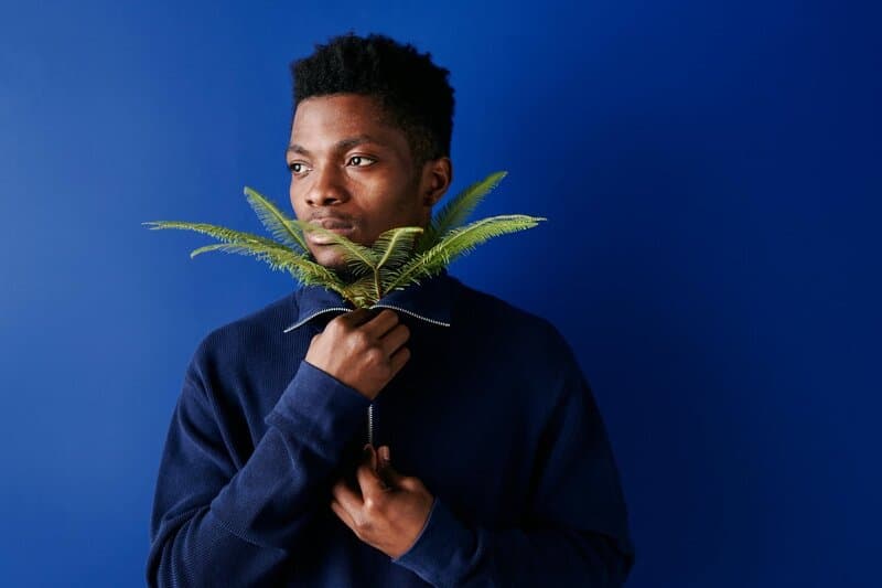 3. Japanese Zen: Serenity with Natural Elements