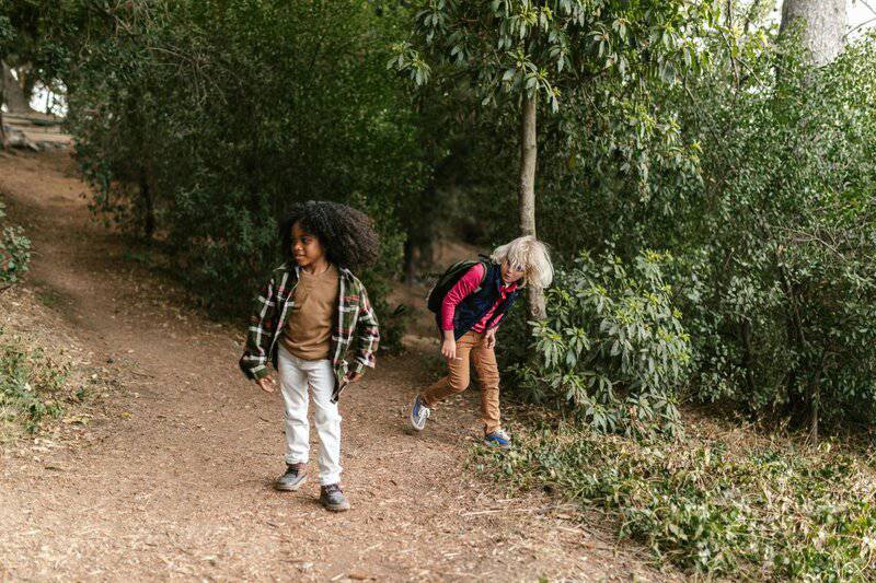 12. Exploring the Woods