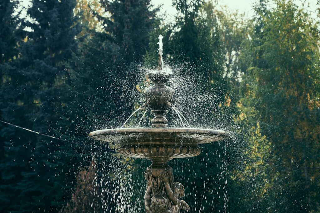 water fountain in the middle of the forest