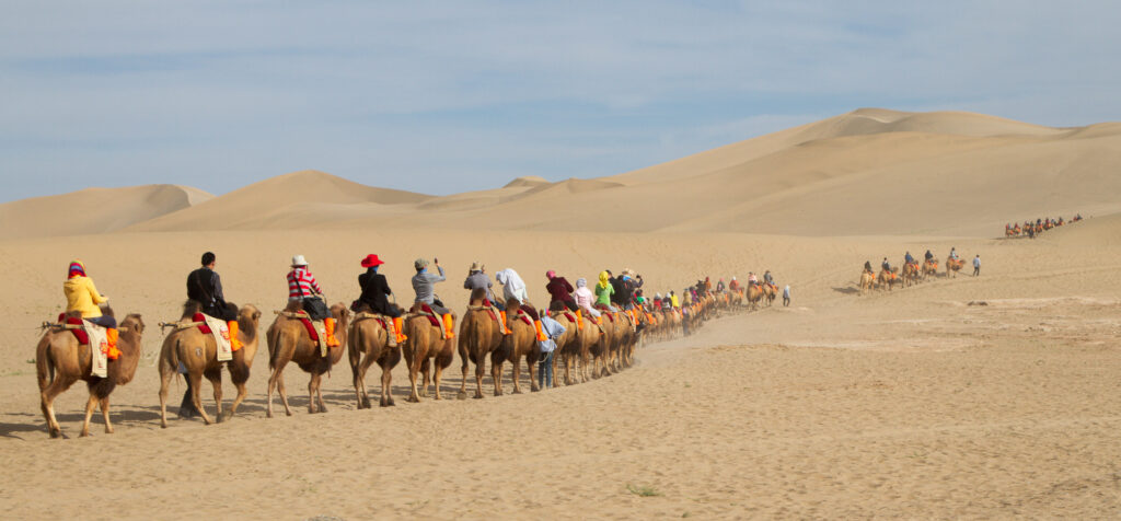 Silk road 8