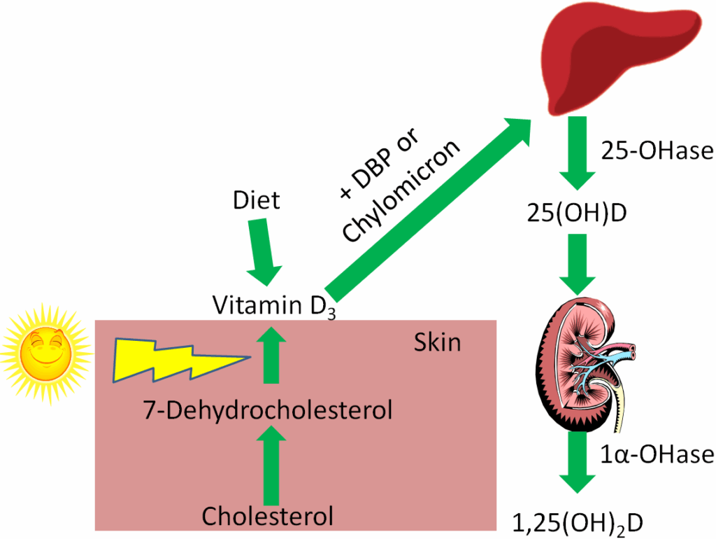 100000000000047300000359430fd8bf