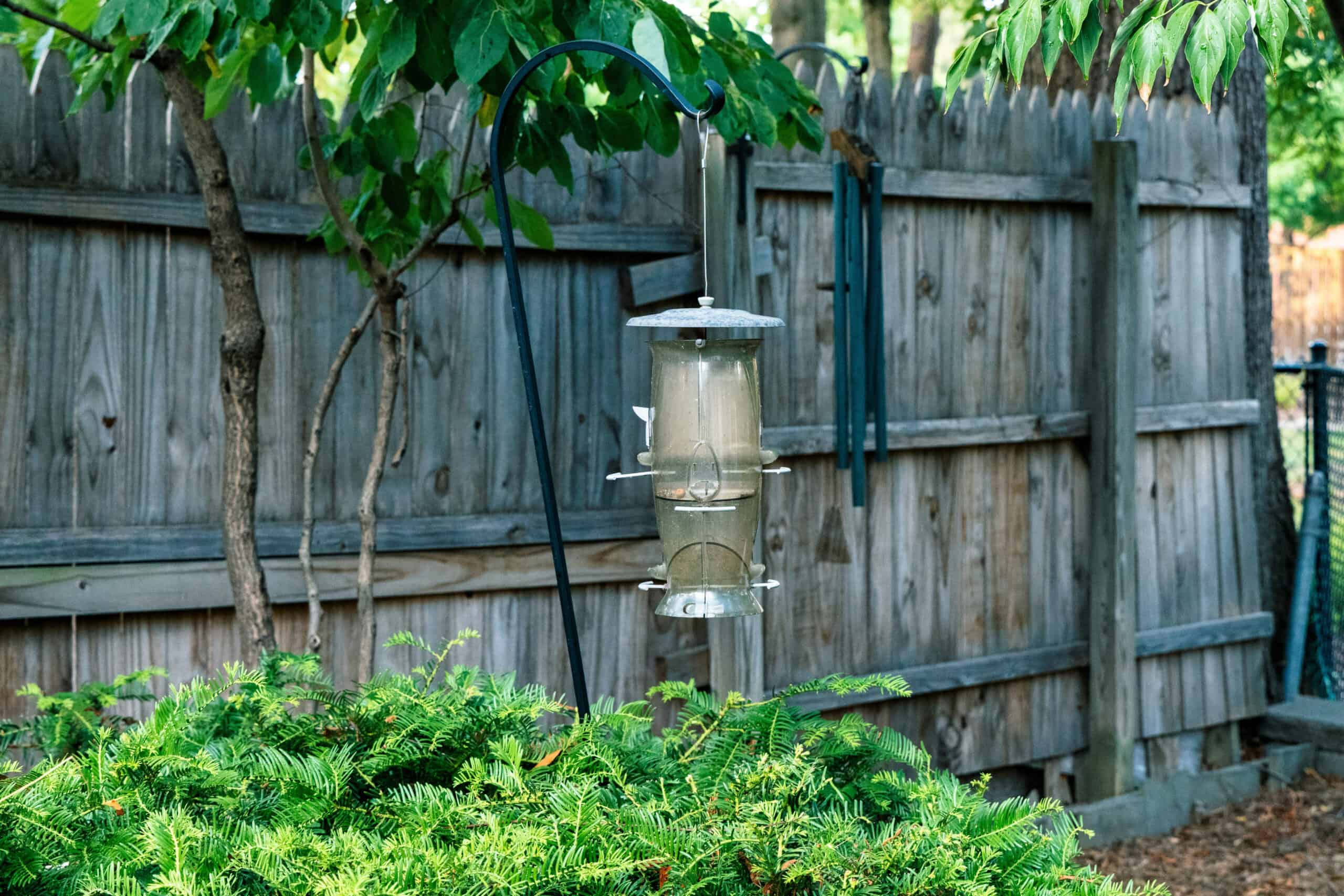6. Set Up Bird Feeders