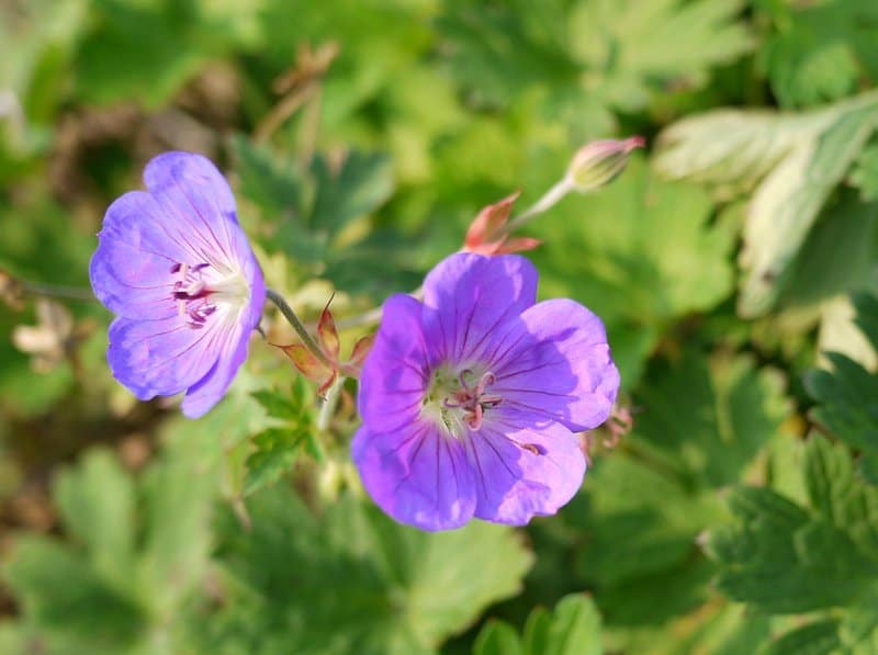 7996134474 3108f3362c b