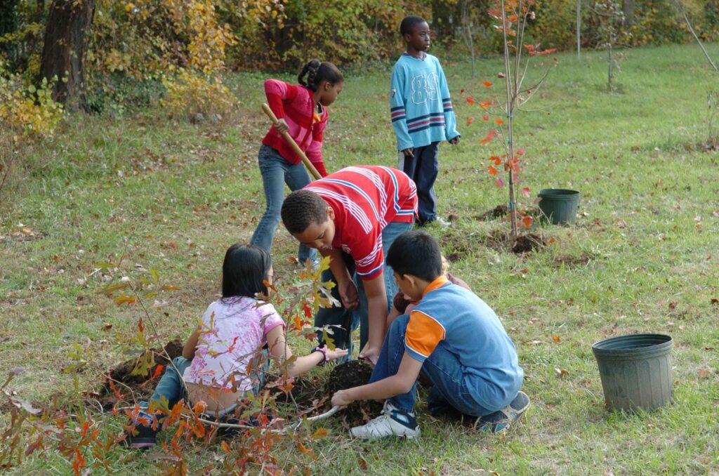Children prepare to plant trees