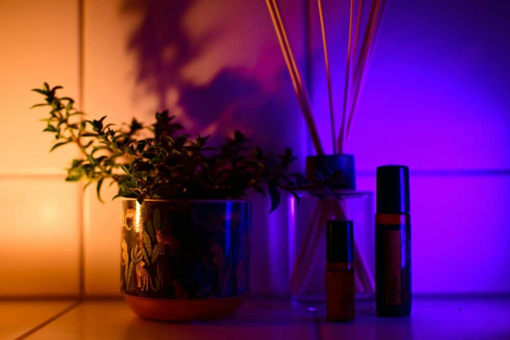 a couple of vases with plants in them